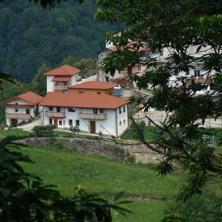 Apartmaji Nena Rocinj Exterior photo